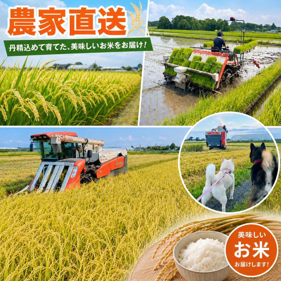 Amazon.co.jp: 令和7年 宮城県 登米市産 ひとめぼれ玄米 一等米 (20kg